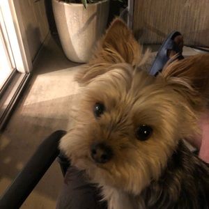 Meet your Posher, James